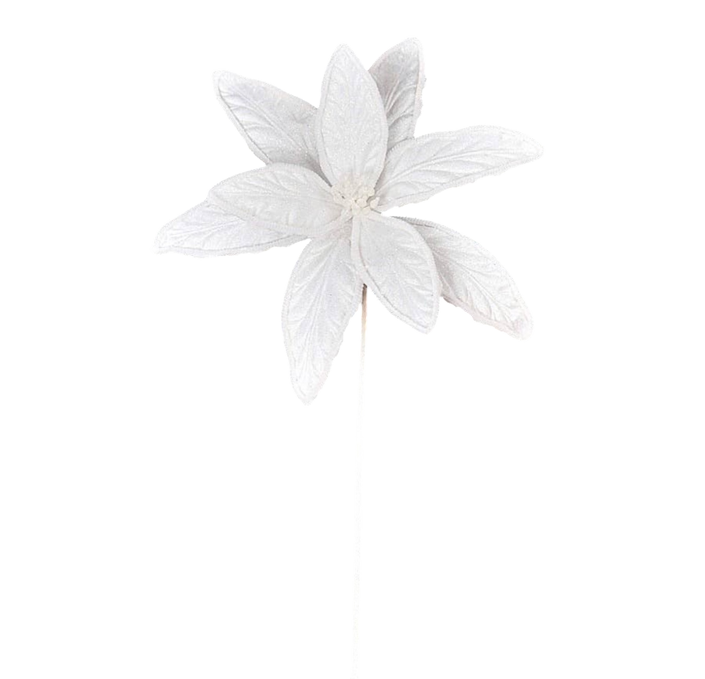 Jumbo Snowy Poinsettia - The Sandy Santa