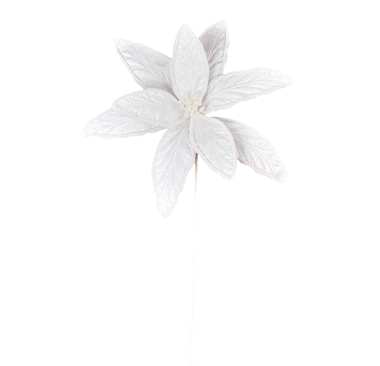 Jumbo Snowy Poinsettia - The Sandy Santa