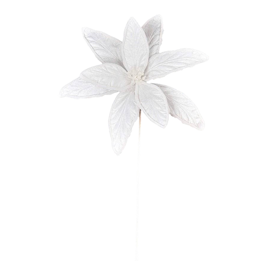 Jumbo Snowy Poinsettia - The Sandy Santa