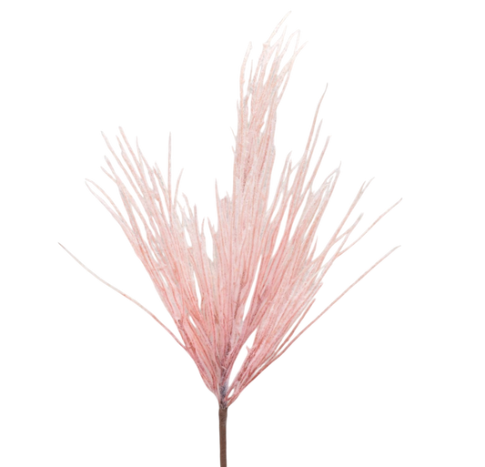 Pink Grassy Pampas Spray - The Sandy Santa