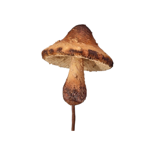 Forest Mushroom Pick - The Sandy Santa