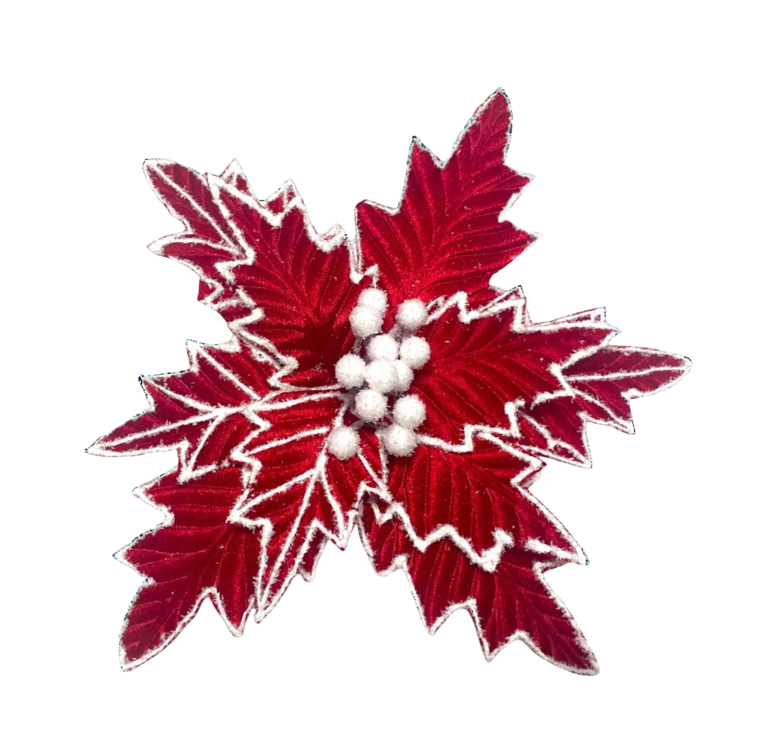 Red w/White Trim Poinsettia - The Sandy Santa